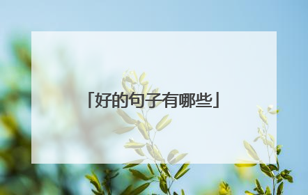 好的句子有哪些