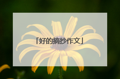 好的摘抄作文