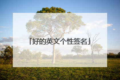 好的英文个性签名