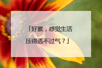 好累，感觉生活压得透不过气？