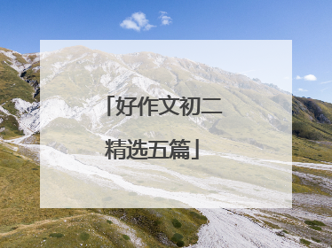 好作文初二精选五篇