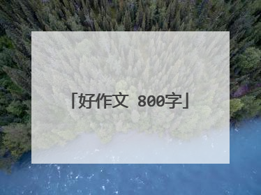 好作文 800字