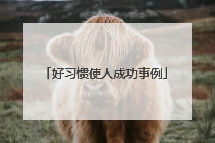 好习惯使人成功事例