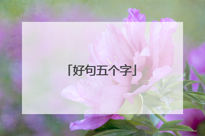 好句五个字