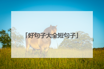 好句子大全短句子