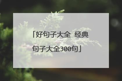 好句子大全 经典句子大全300句