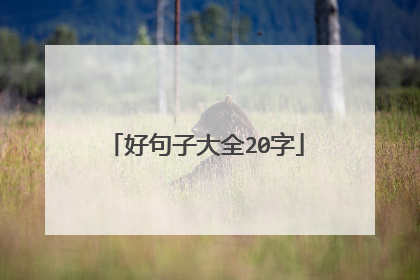 好句子大全20字