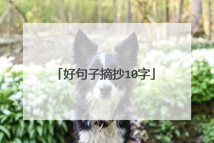 好句子摘抄10字
