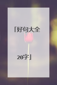 好句大全20字