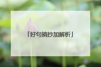 好句摘抄加解析