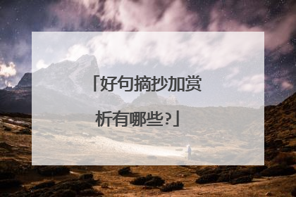 好句摘抄加赏析有哪些?