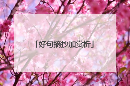 好句摘抄加赏析
