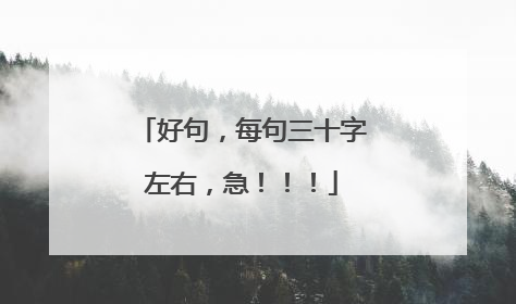 好句，每句三十字左右，急！！！