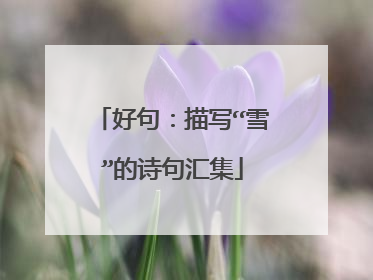 好句:描写“雪”的诗句汇集