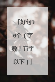 好句30个（字数十五字以下）