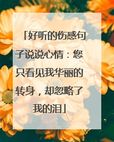 好听的伤感句子说说心情：您只看见我华丽的转身，却忽略了我的泪