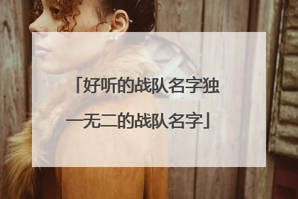 好听的战队名字独一无二的战队名字