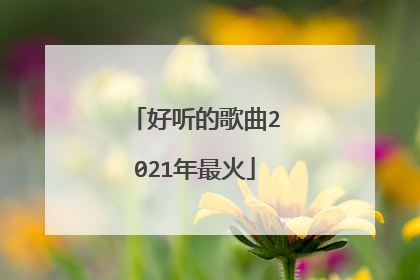 好听的歌曲2021年最火
