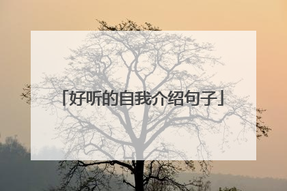 好听的自我介绍句子