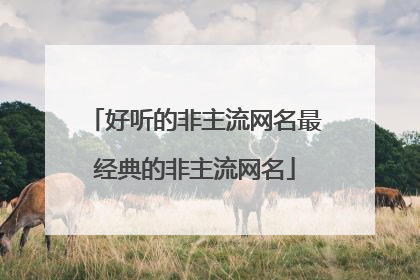 好听的非主流网名最经典的非主流网名