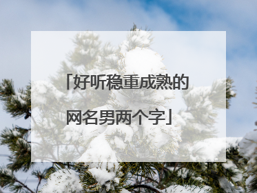 好听稳重成熟的网名男两个字
