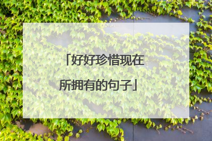 好好珍惜现在所拥有的句子