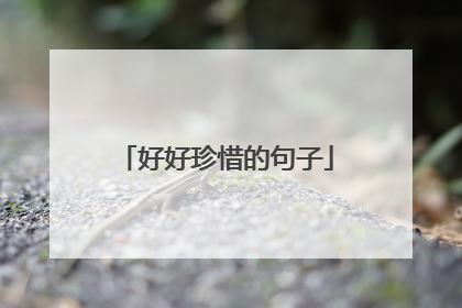 好好珍惜的句子