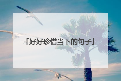 好好珍惜当下的句子