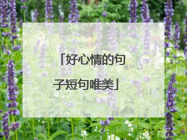 好心情的句子短句唯美