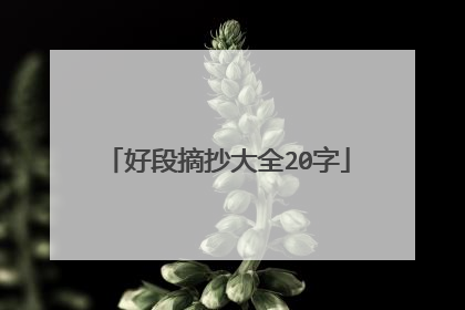 好段摘抄大全20字