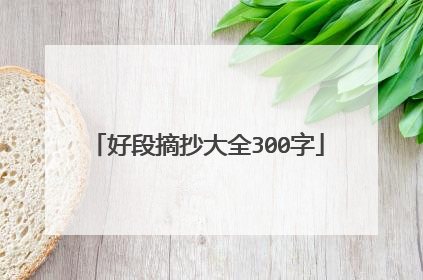 好段摘抄大全300字