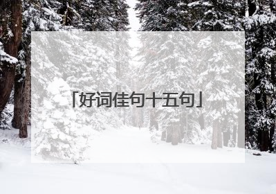 好词佳句十五句