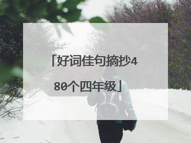 好词佳句摘抄480个四年级
