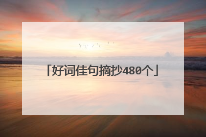 好词佳句摘抄480个