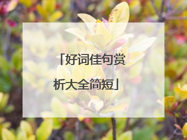 好词佳句赏析大全简短