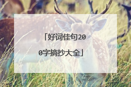 好词佳句200字摘抄大全