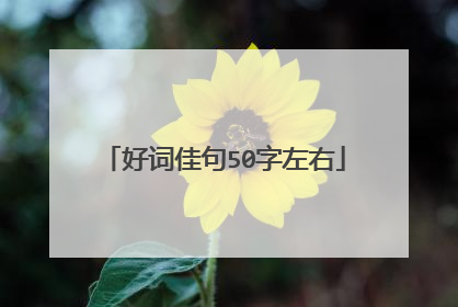 好词佳句50字左右