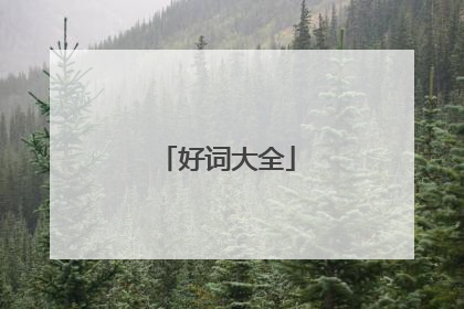 好词大全