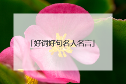 好词好句名人名言