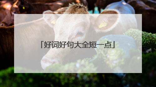 好词好句大全短一点