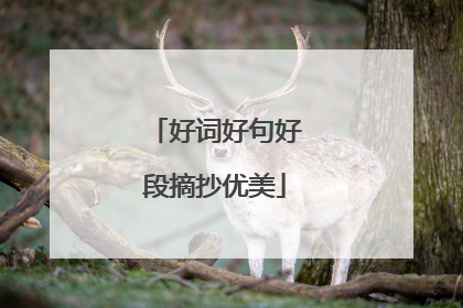 好词好句好段摘抄优美