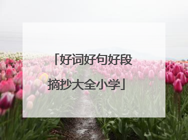 好词好句好段摘抄大全小学