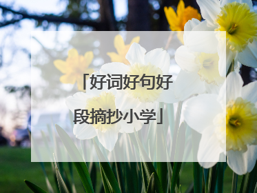 好词好句好段摘抄小学