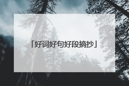 好词好句好段摘抄