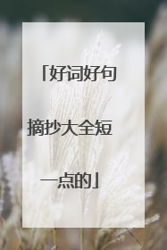 好词好句摘抄大全短一点的