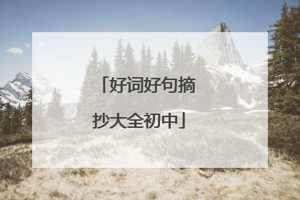 好词好句摘抄大全初中