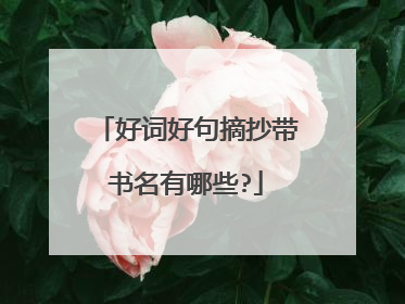 好词好句摘抄带书名有哪些?