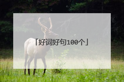 好词好句100个