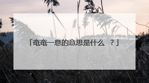 奄奄一息的意思是什么 ?