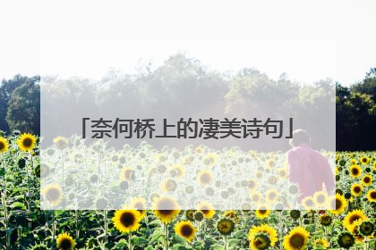 奈何桥上的凄美诗句